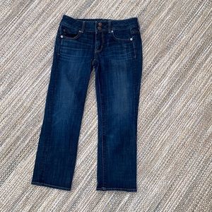 American Eagle Outfitters Artist Crop stretch jeans size 2